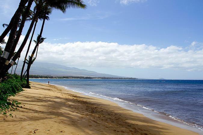 Kealia Resort 502 Kihei Kültér fotó